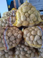 Sprzedam okolo 80 workow sorai