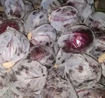 Sprzedam kapustę czerwoną 1-3 kg w karton box