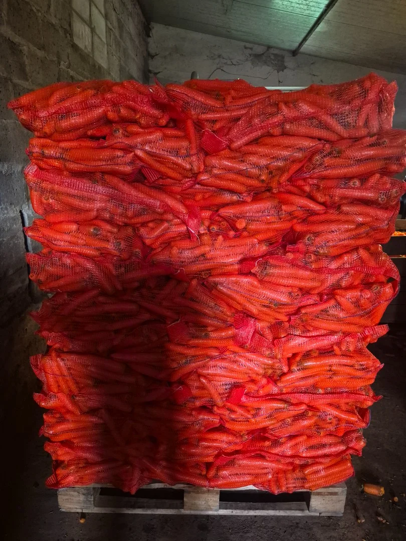 zdjecie-2