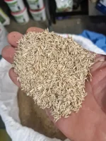 Sprzedam trawę kupkówkę zbiór 2026.Trawa wyczyszczona sucha zebrana bez deszczu. Worki 20 kg, ewentualnie może być w big bagu.