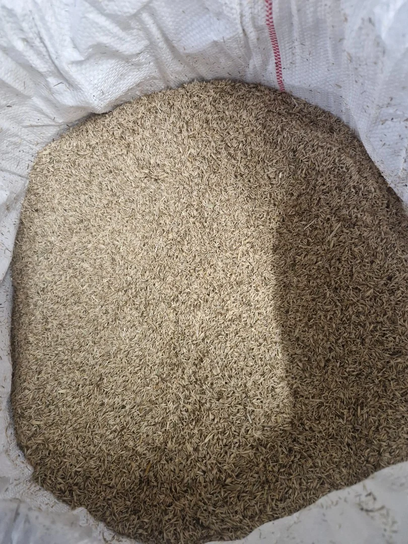 zdjecie-2