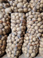 Sprzedam ziemniaki odmianę Irga. Kaliber od 50 plus bardzo ładne duże czyste w środku bez rdzy,szykowane po 50 kg. Cena do uzgodnienia. Możliwa stała