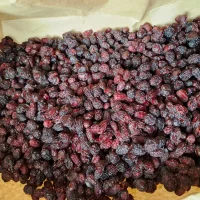 SPRZEDAM SUSZONY DEREŃ JADALNY. 1 KG 150 ZŁ.