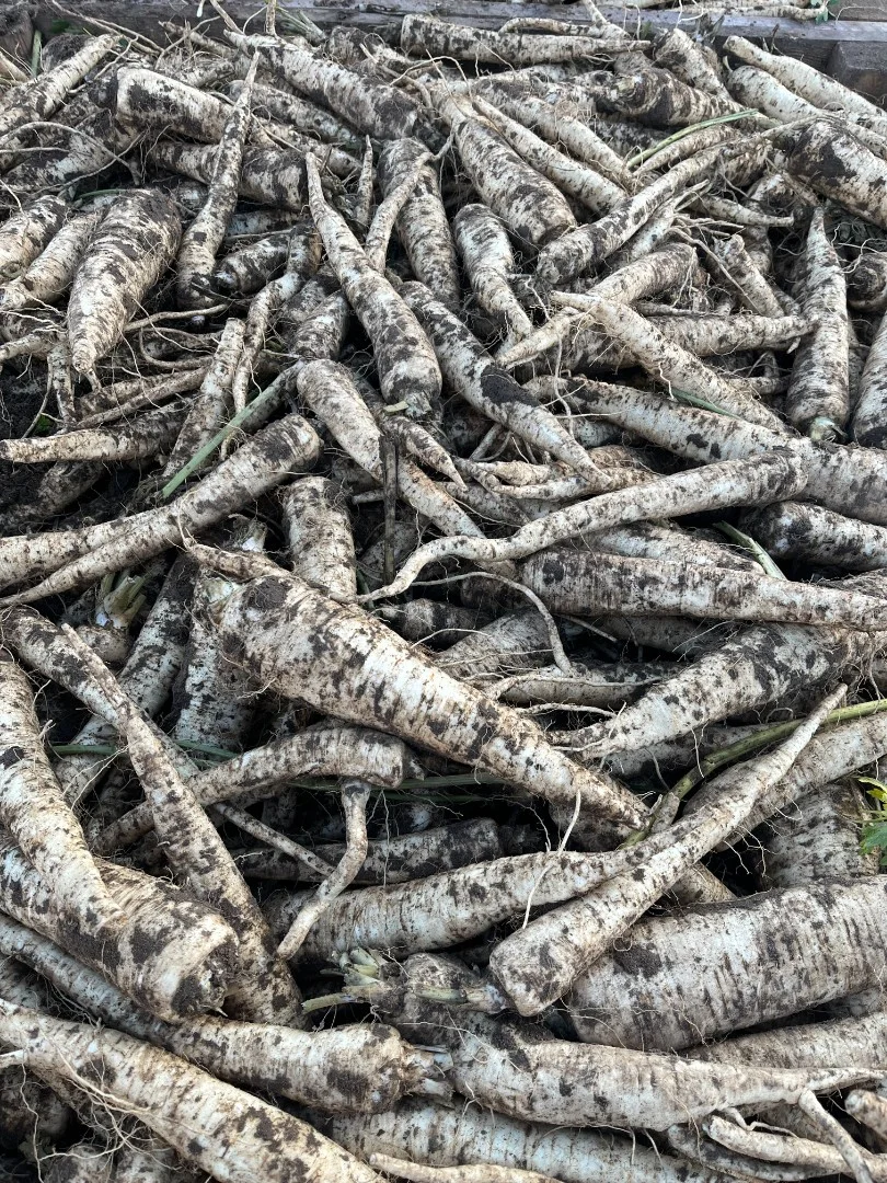 zdjecie-3