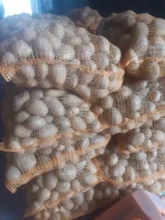Sprzedam ziemniaki jadalne Soraya z jasnej ziemi cena 9 zł za worek 15 kg i ziemniaki Bellarossa
