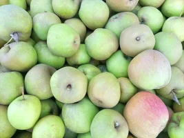 Sprzedam Boscopa,szara Renata za wagę w skrzyni 2000kg