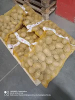 Sprzedam ziemniaki jadalne colomba z jasnej ziemi ilości  tirowe