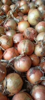 Sprzedam Bonusa