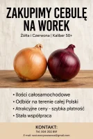Kupimy cebulę żółtą na worek kaliber 45/50 + luz na wannę.