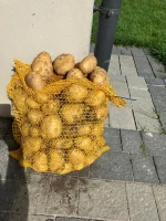 Oferuję ziemniaki Denar, materiał handlowy. Zapraszam do kontaktu.