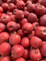 Sprzedam 35 skrz. gali schnico red