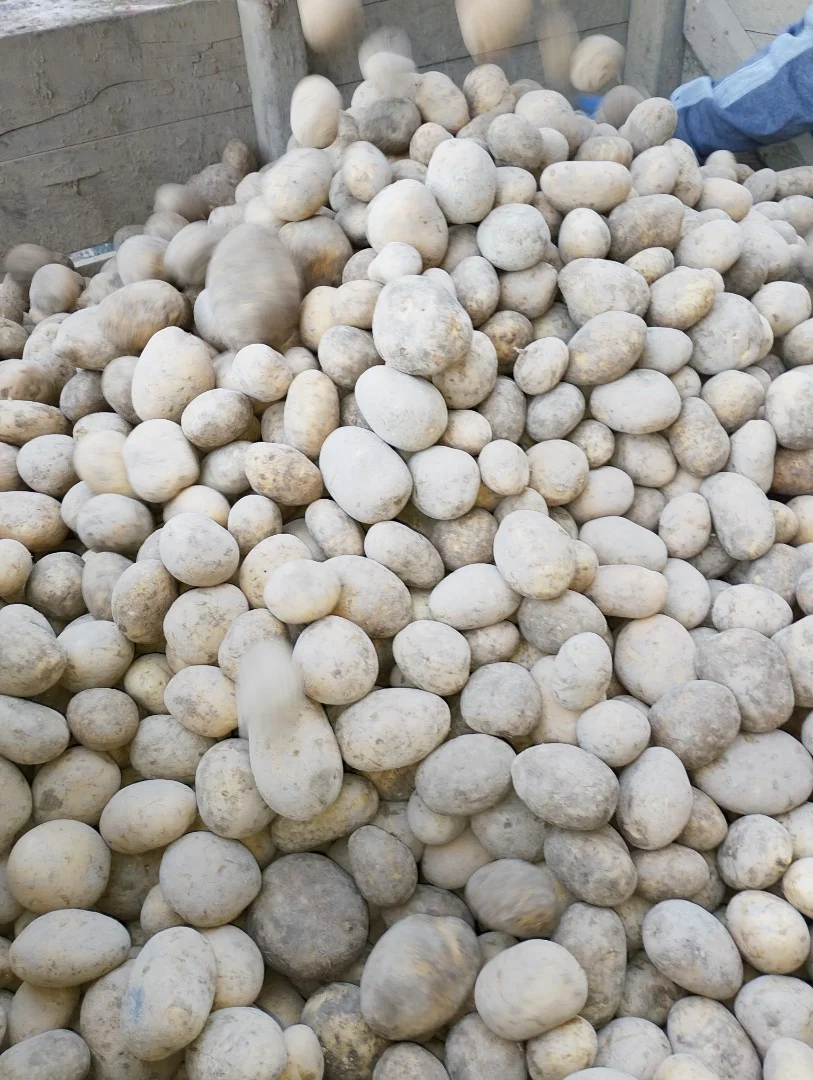 zdjecie-2