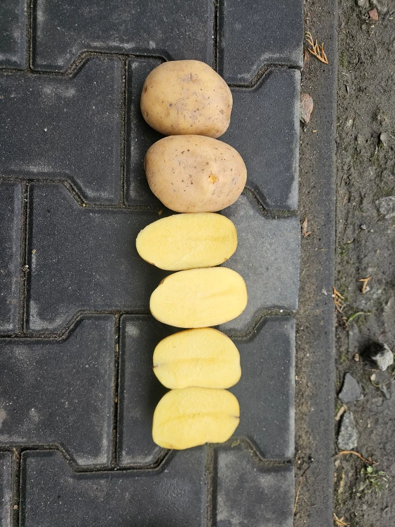 zdjecie-1