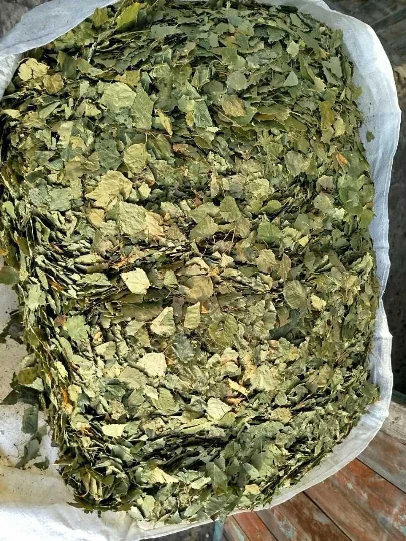 zdjecie-2