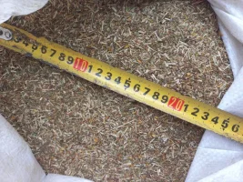 Sprzedam:Ziełe dziurawca,glistnika cięty,piolynu cięty,skrzypu polnego cięty,skrzypy polnego. E-mail: organicplantspl@gmail.com
Tel: 536 125 565