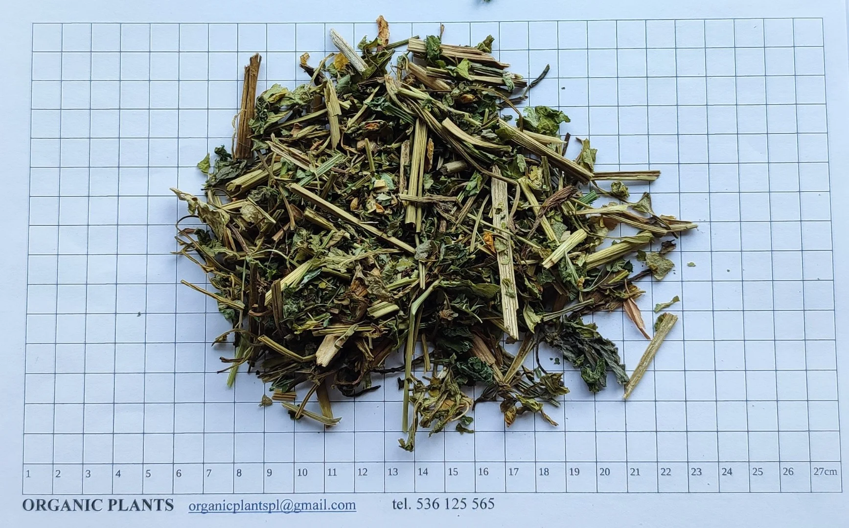 zdjecie-2
