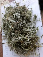 Sprzedam: Ziełe srebrnika, rdestu ptasiego, wrotycz ciety,wrosu, jemioly. E-mail: organicplantspl@gmail.com
Tel: 536 125 565