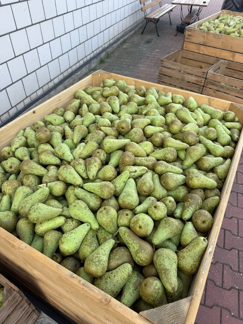 zdjecie-2