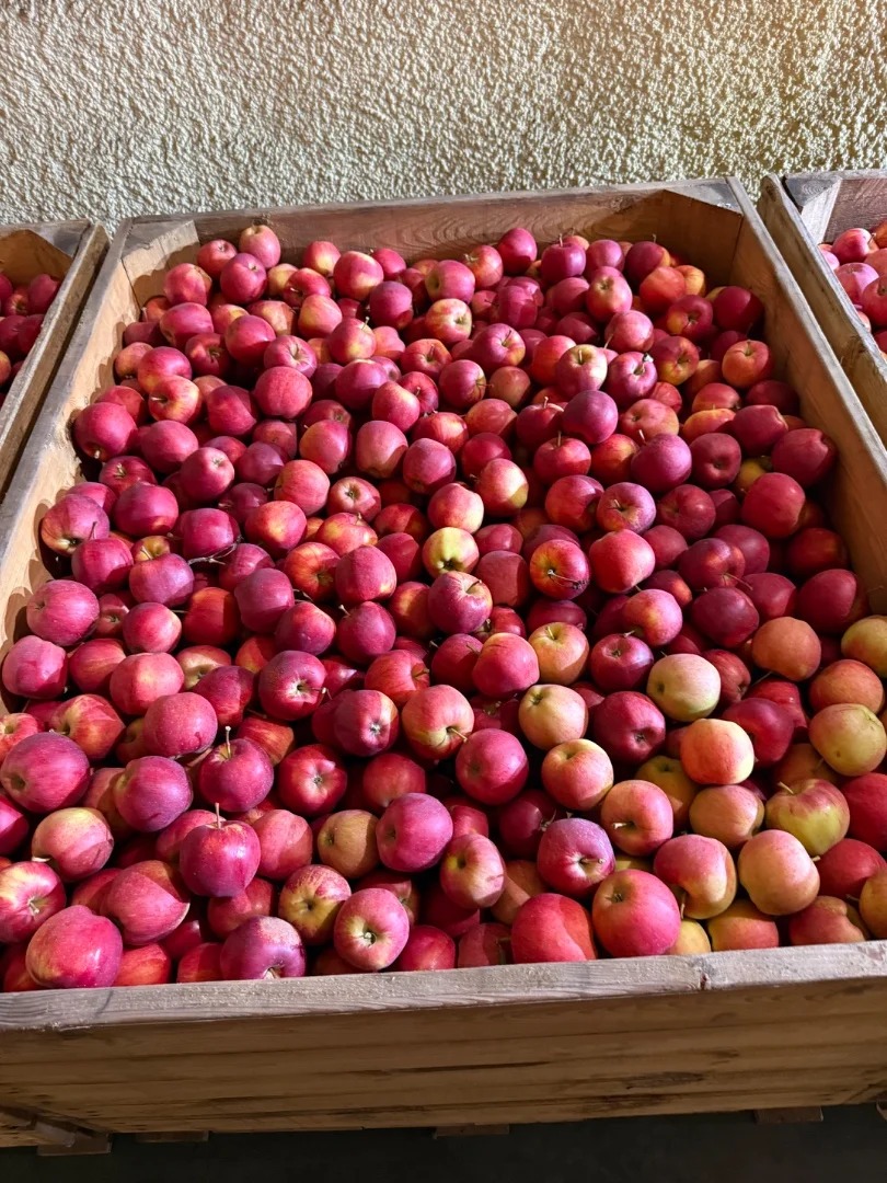 zdjecie-1