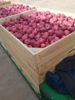 Gala schnico Red okolice Grójca za wagę 2 zł