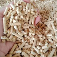 PELLET DRZEWNY (SOSNOWY)