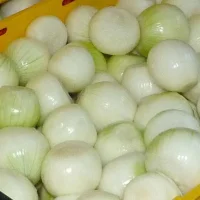 sprzedam cebulę obraną
