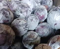 Sprzedam kapustę czerwoną. Waga2-2.5  ,  3-5 kg. Opakowanie:kartonbox  Możliwość dowozu.