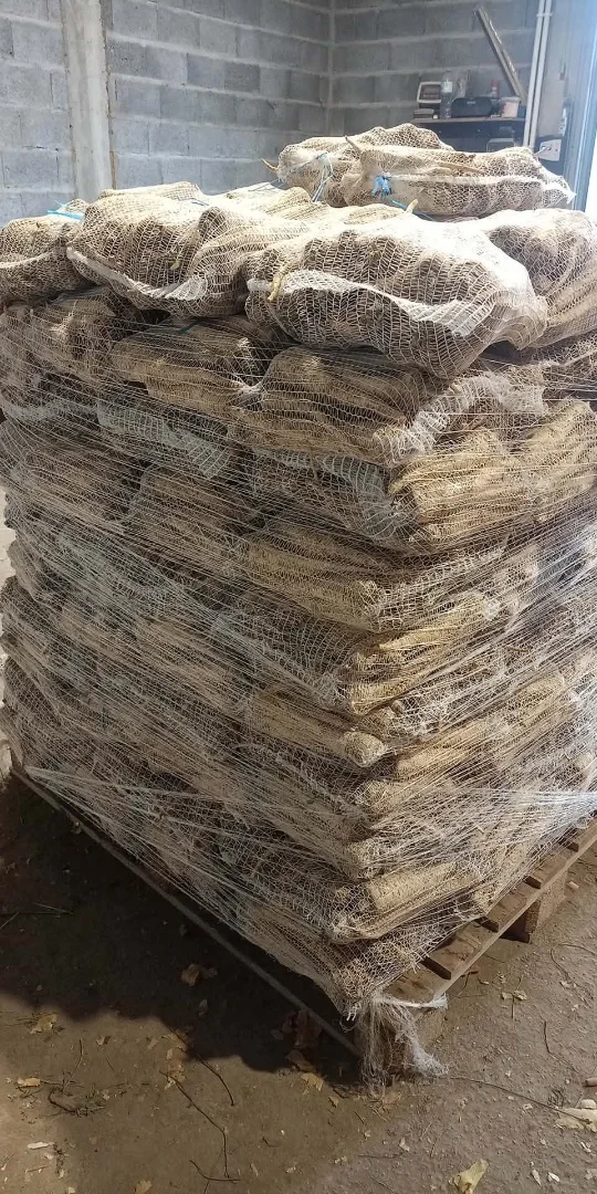 zdjecie-1