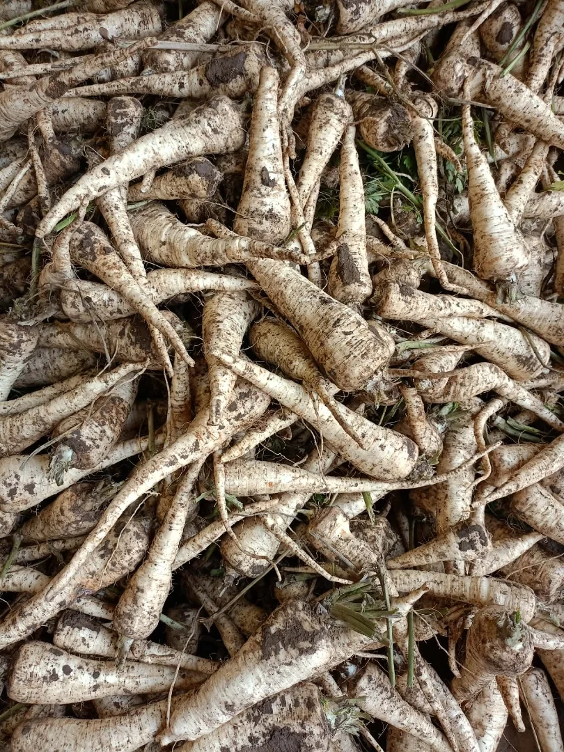 zdjecie-4