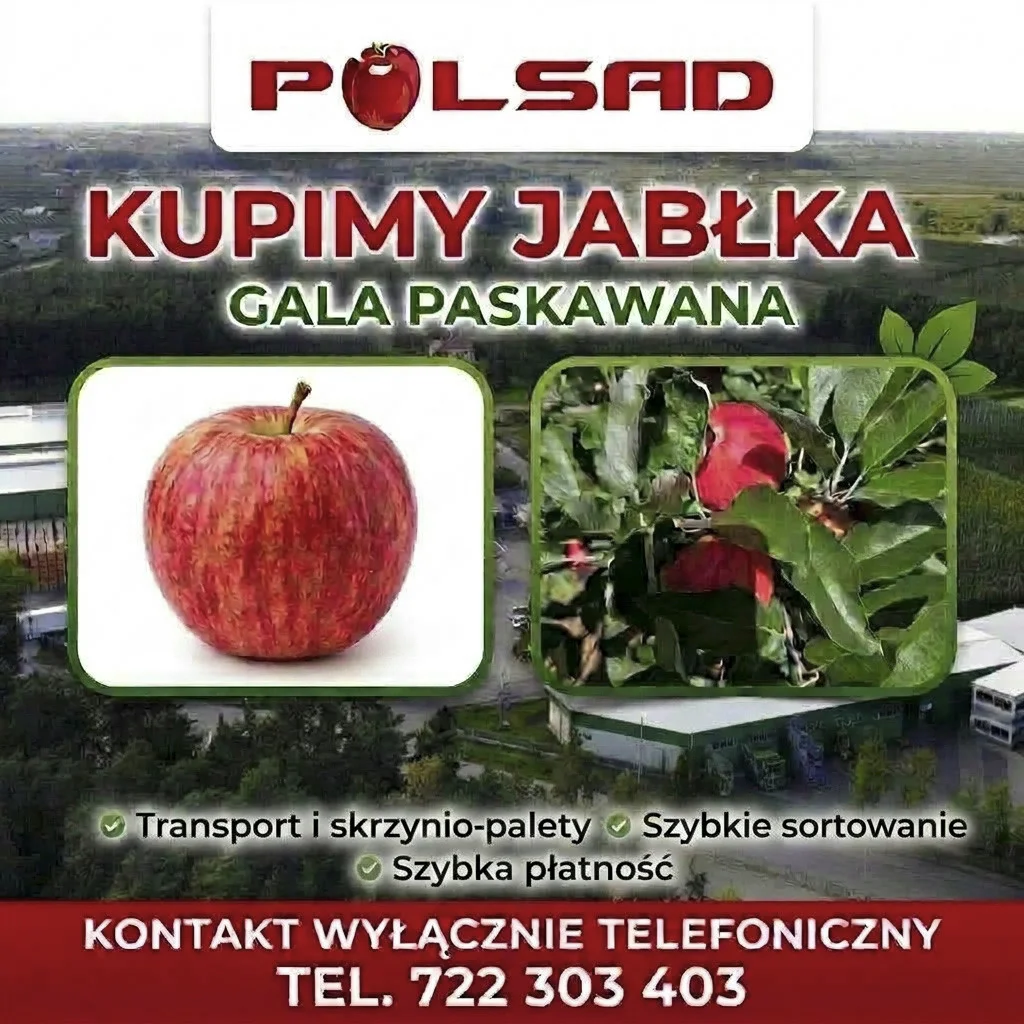 zdjecie-2