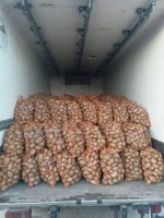 Sprzedam 400 worków Sorayi więcej informacji pod numerem 782463500