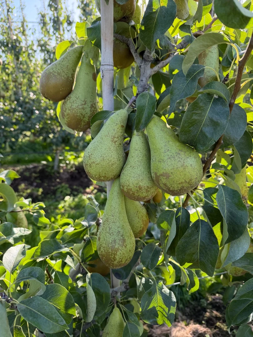 zdjecie-2