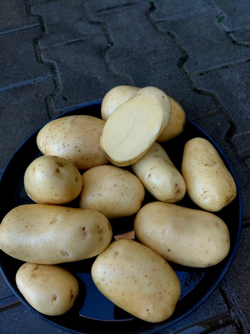 zdjecie-1