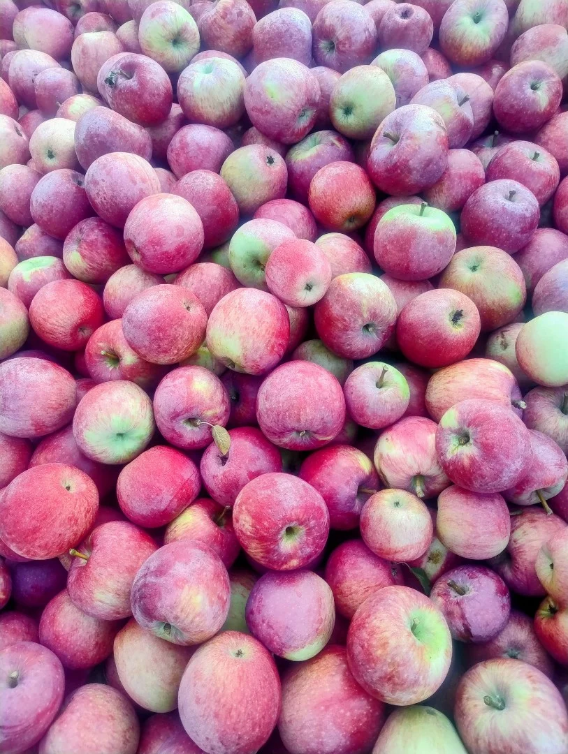 zdjecie-1