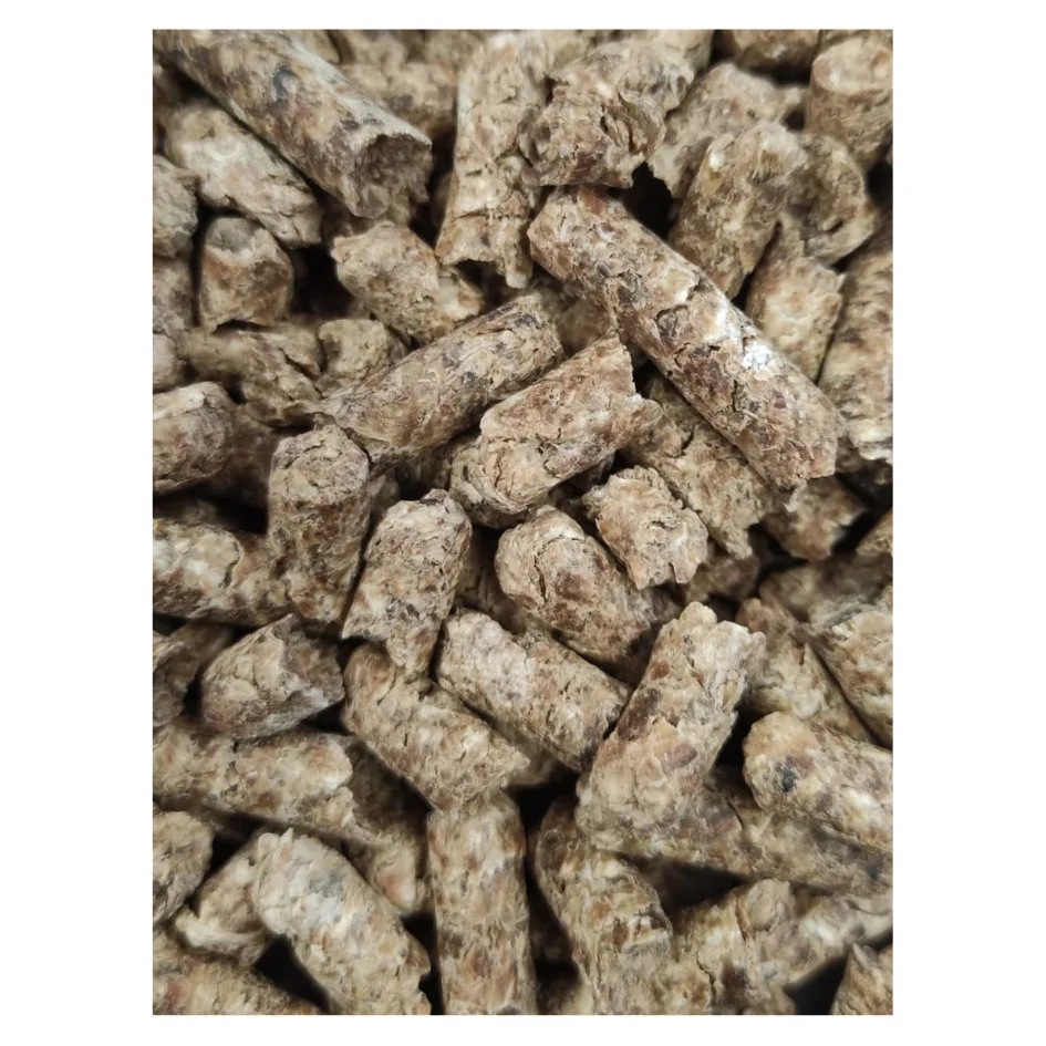 zdjecie-5