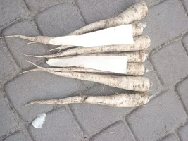 Sprzedam pietruszkę odmiany Arctica