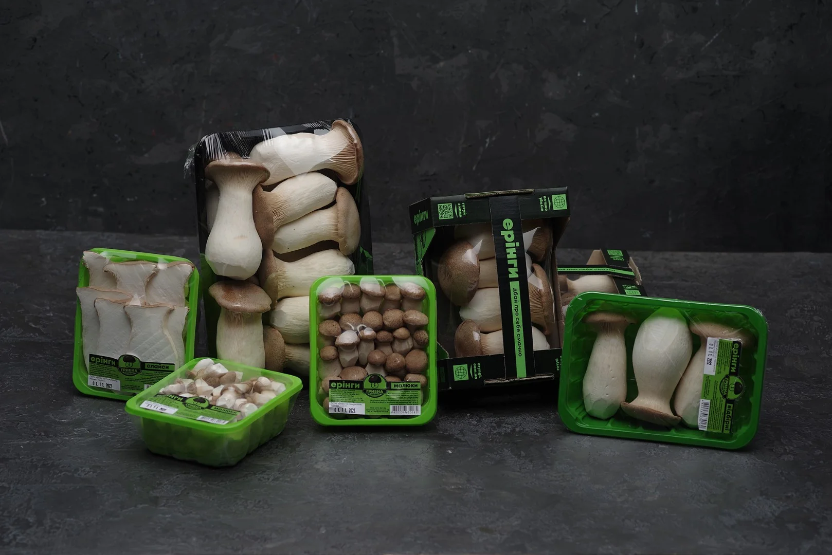 zdjecie-2