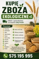 🌾 KUPIĘ JĘCZMIEŃ RÓWNIEŻ EKOLOGICZNY I INNE ZBOŻA – NAJLEPSZE WARUNKI WSPÓŁPRACY | ODBIÓR Z CAŁEJ POLSKI 🚛 
Skup zbóż, rzepaku i roślin strączkowych
