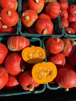 Dynia typ Hokkaido odmiana Flexi Kuri. Ilości busowe. Pakowana w worki raszlowe. 
37-455 
2,5 zł /kg
