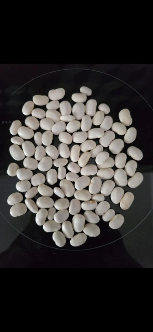zdjecie-1