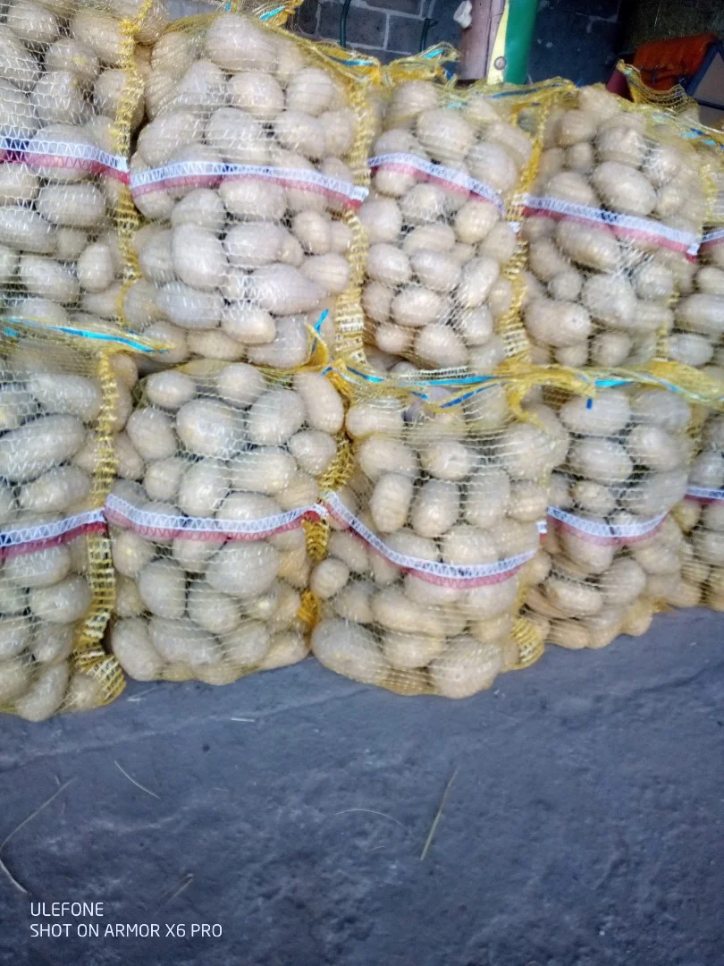 zdjecie-1